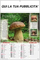 Calendario Illustrato Funghi